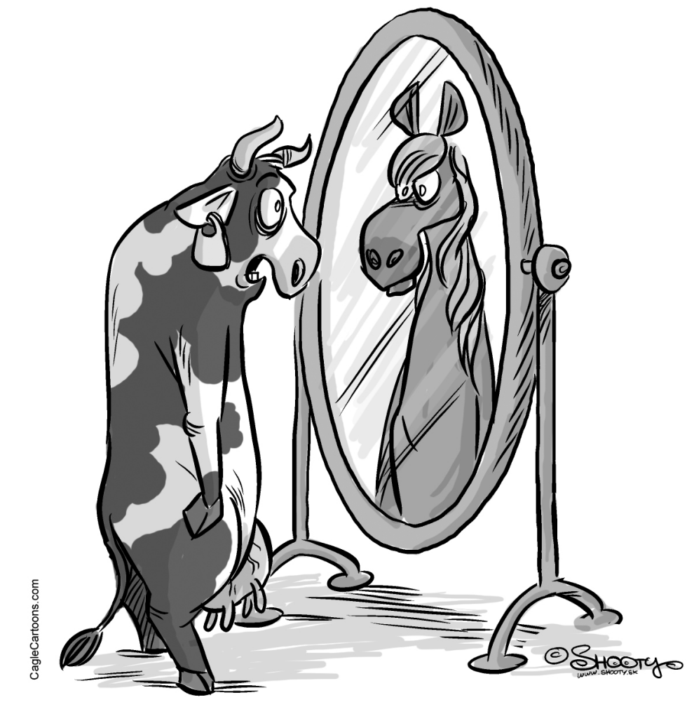 Escandalo por Carne de Caballo
