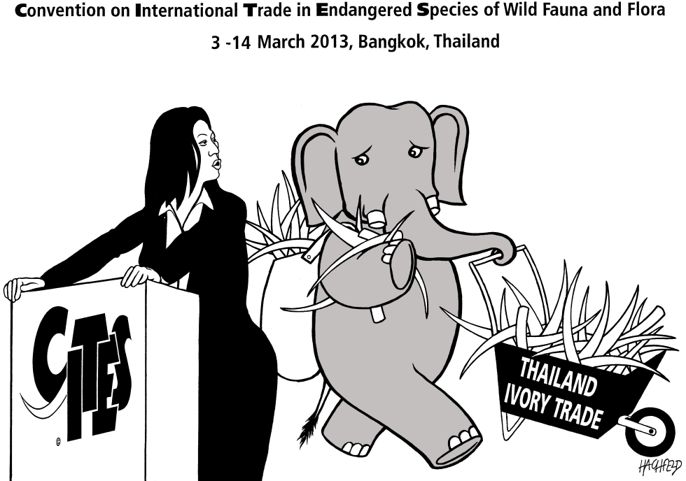CITES conference