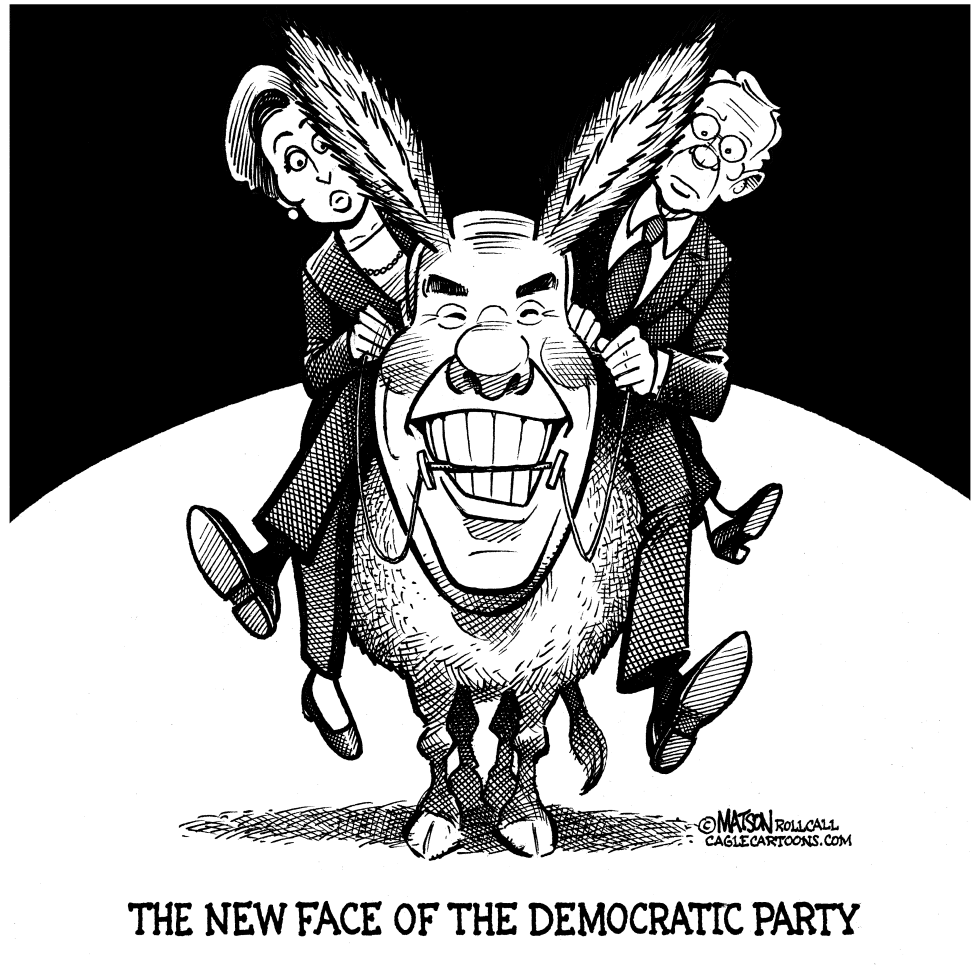  THE NEW FACE OF THE DEMOCRATIC PARTY by RJ Matson