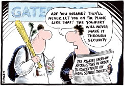 CARRY ON RESTRICTIONS RELAXED by Ingrid Rice