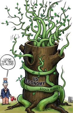 STOCK MARKET ILLUSION  by Luojie