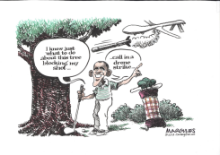 DRONE  STRIKE  by Jimmy Margulies