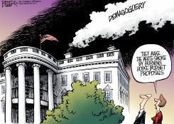 BUDGET SMOKE  by Nate Beeler