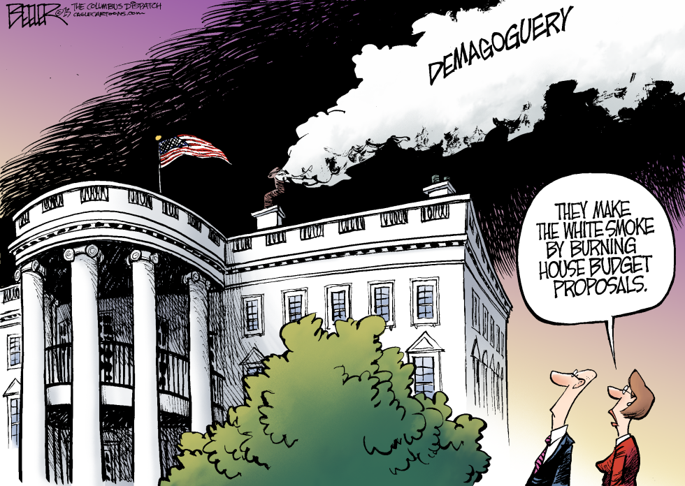 Budget Smoke COLOR