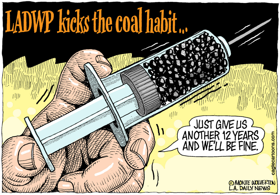 LOCAL-CA Los Angeles Kicks Coal Habit COLOR