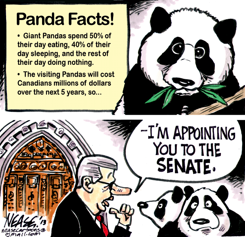 PANDAS by Steve Nease