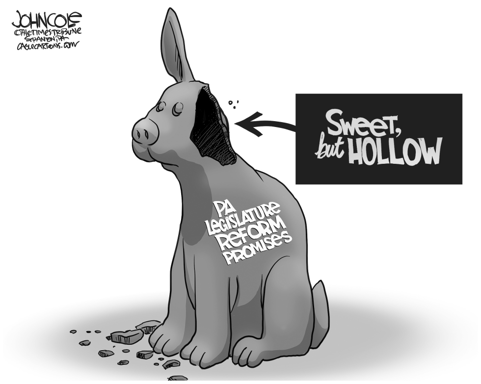 Local PA - Reform Bunny