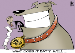 WHAT DOES OBAMACARE EAT, by Randy Bish