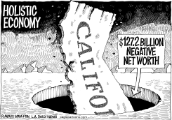 LOCAL-CA NEGATIVE NET WORTH by Monte Wolverton