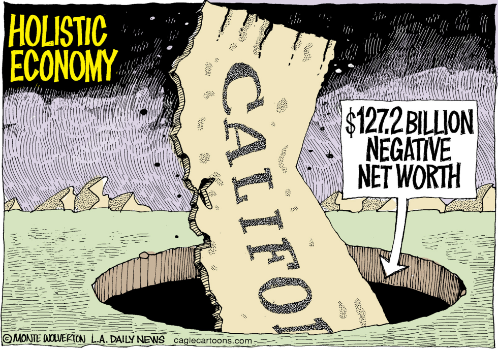 LOCAL-CA Negative Net Worth COLOR