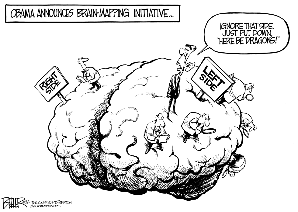 Brain Mapping