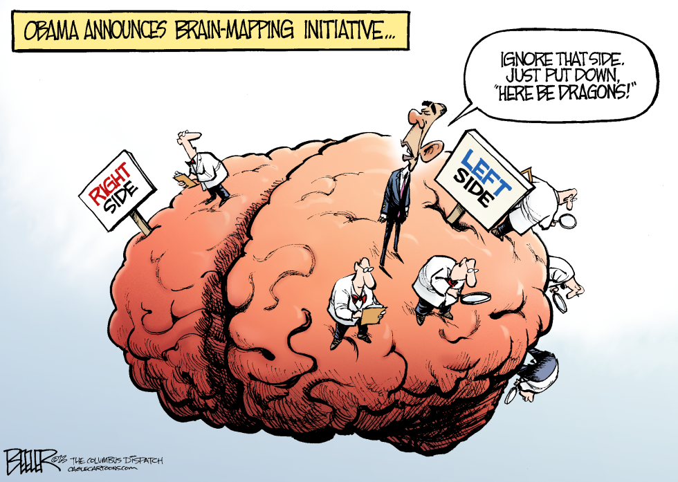 Brain Mapping COLOR