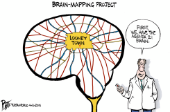 BRAIN MAPPING by Bruce Plante