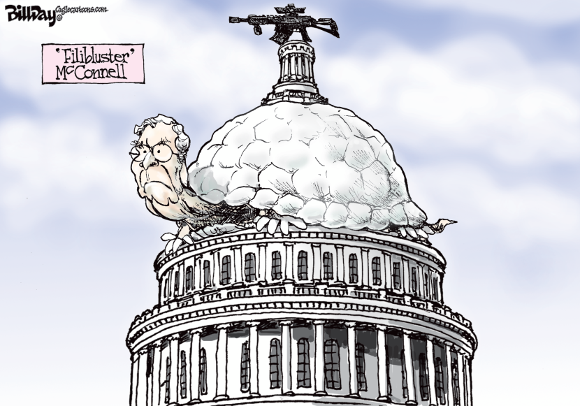 FiliBLUSTER McConnell  COLOR