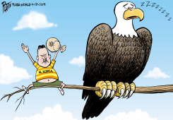 CRAZY KIM by Bruce Plante