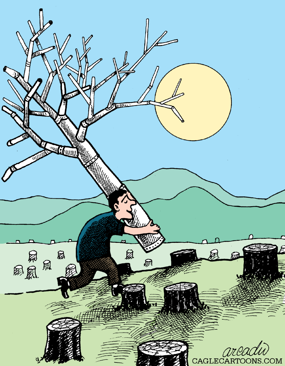 Un àrbol falso