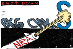 SHOT DOWN  by Randall Enos