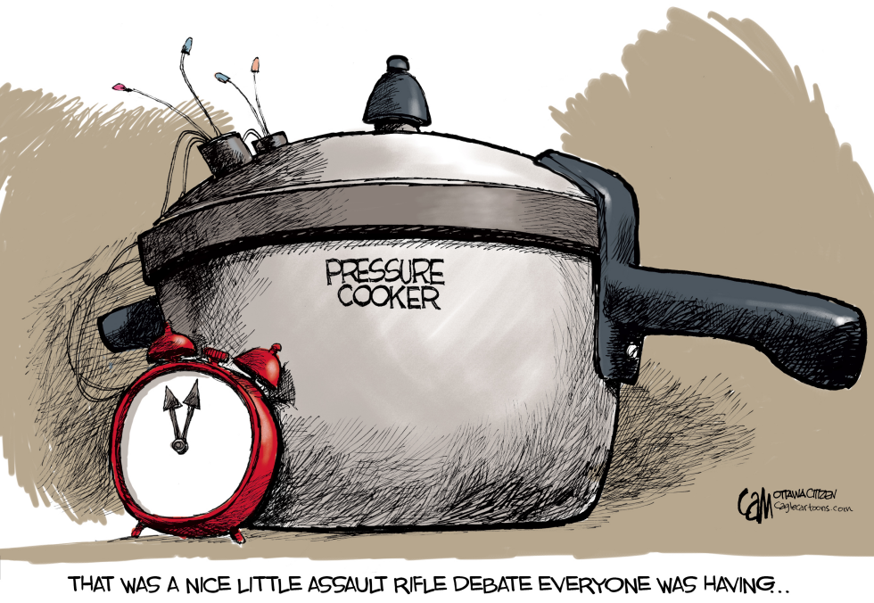 Pressure Cooker COLOR