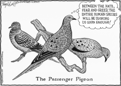 TERRORISM by Bob Englehart