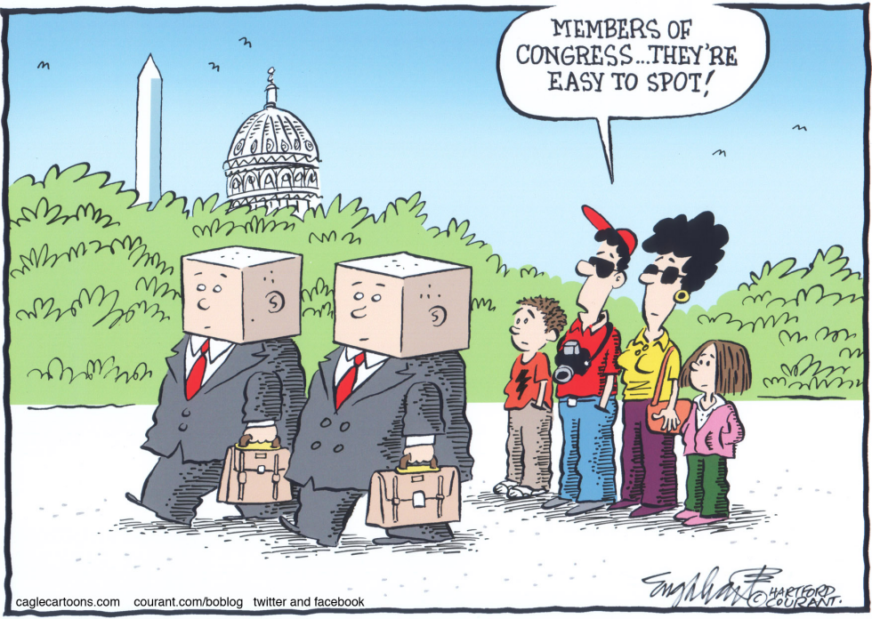 Blockhead CongressCOLOR