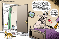 VOTING FOR FOGBOTTOM by Bruce Plante