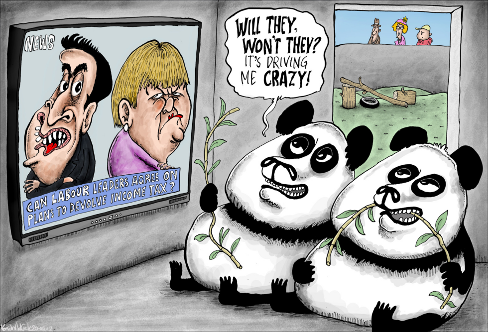Will the Pandas Mate, Will the Politicians Agree