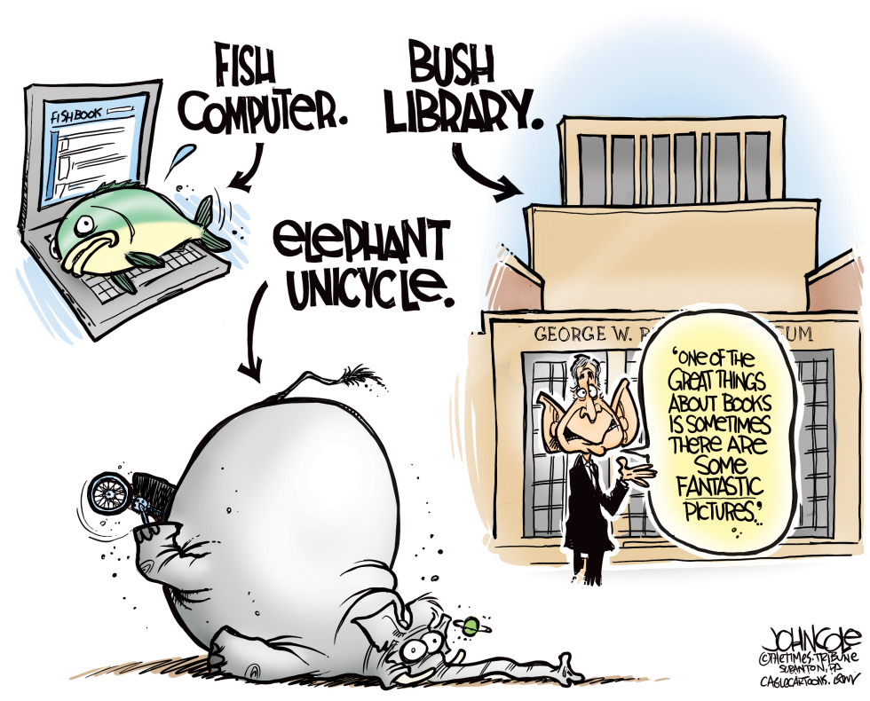 The Bush Library COLOR