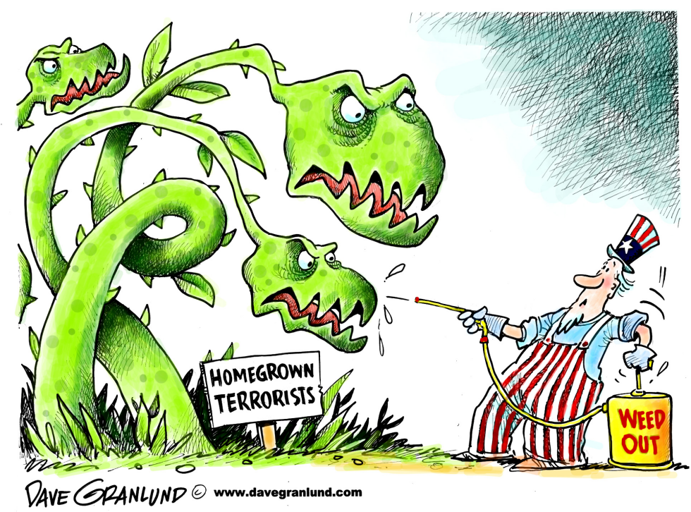 Homegrown terrorists