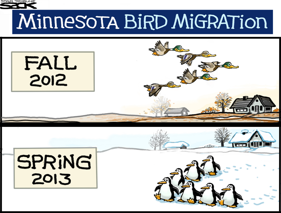 Minnesota Winter/Spring LOCAL    COLOR