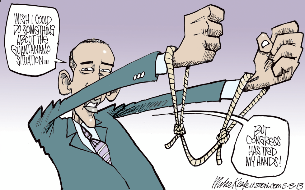 Gitmo Situation COLOR