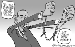 GITMO SITUATION by Mike Keefe