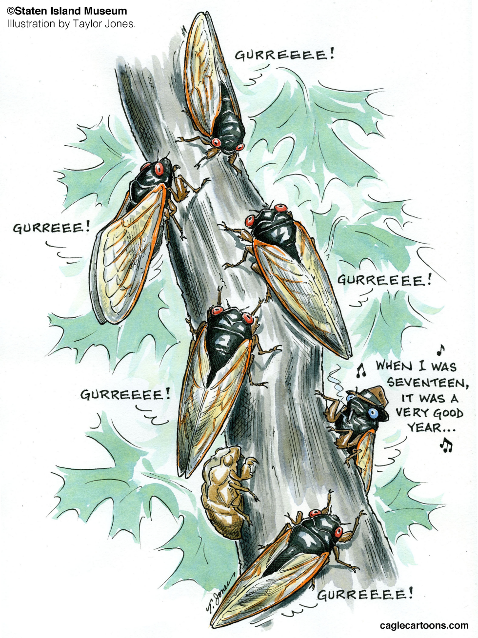 Songs of the Periodical Cicada