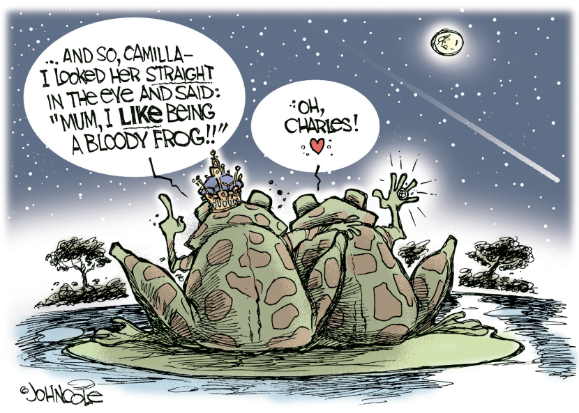 The frog king