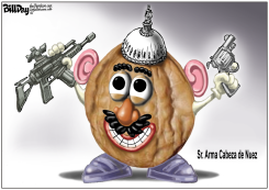 SR ARMA CABEZA DE NUEZ / by Bill Day
