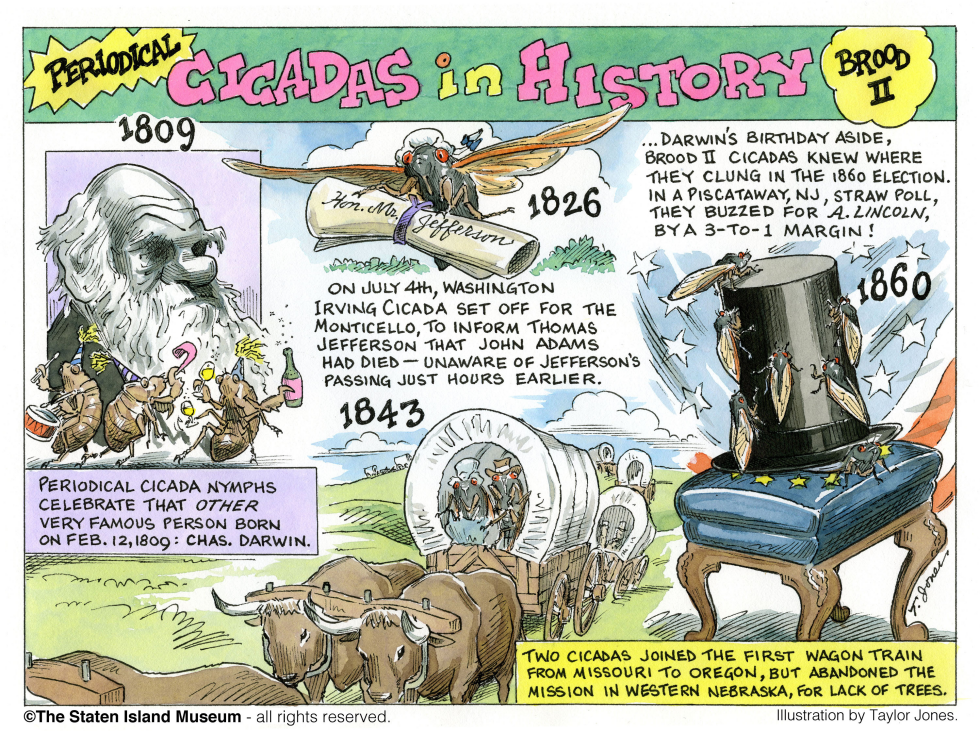  HISTORY OF 17-YEAR CICADAS - PART 1 by Taylor Jones