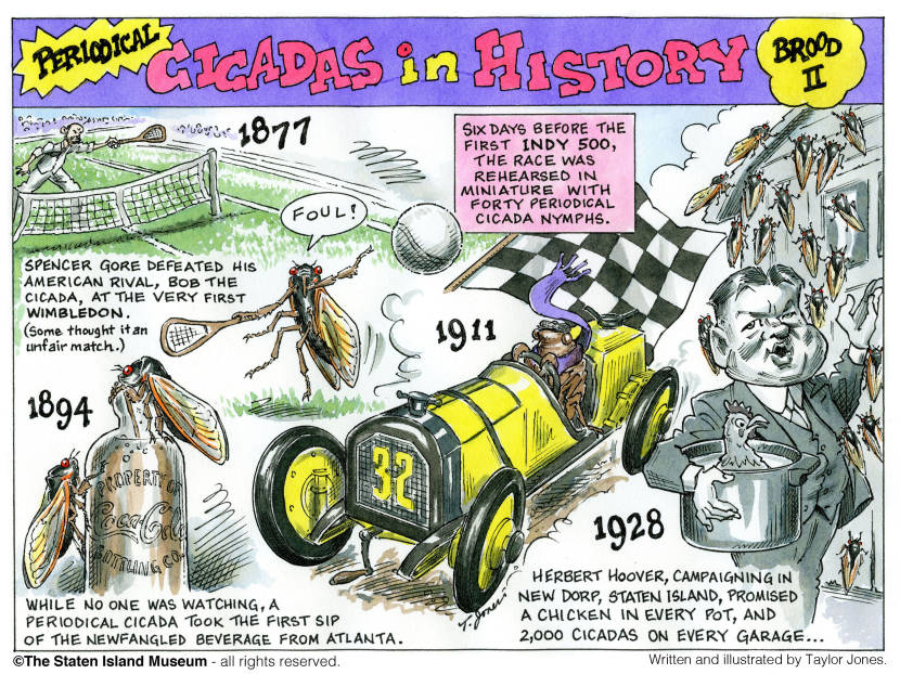 History of 17-year Cicadas - Part 2