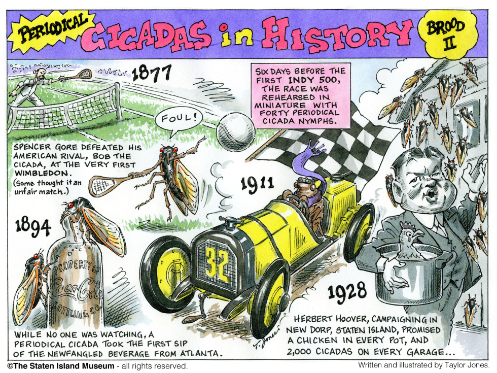 History of 17-year Cicadas - Part 2