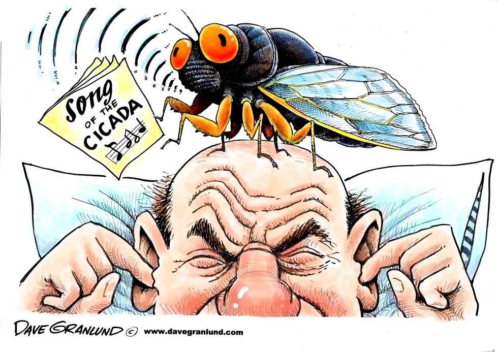 Cicada invasion