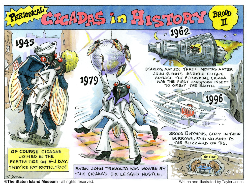 History of 17-year Cicadas - Part 3