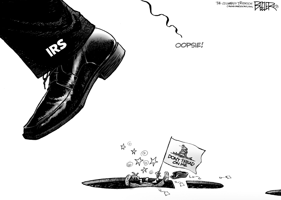 IRS and the Tea Party