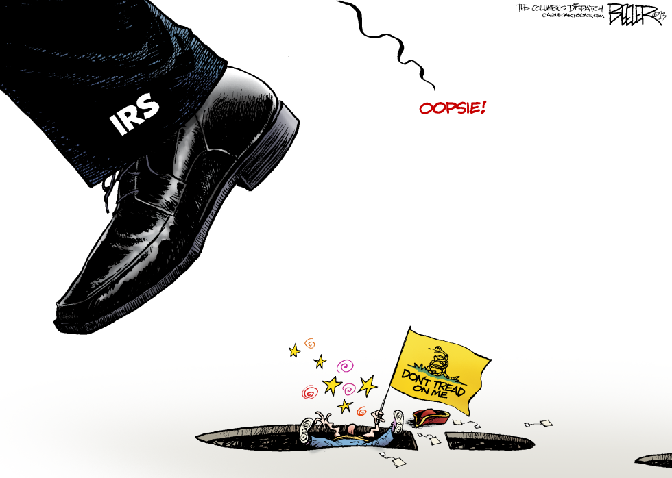 IRS and the Tea Party COLOR
