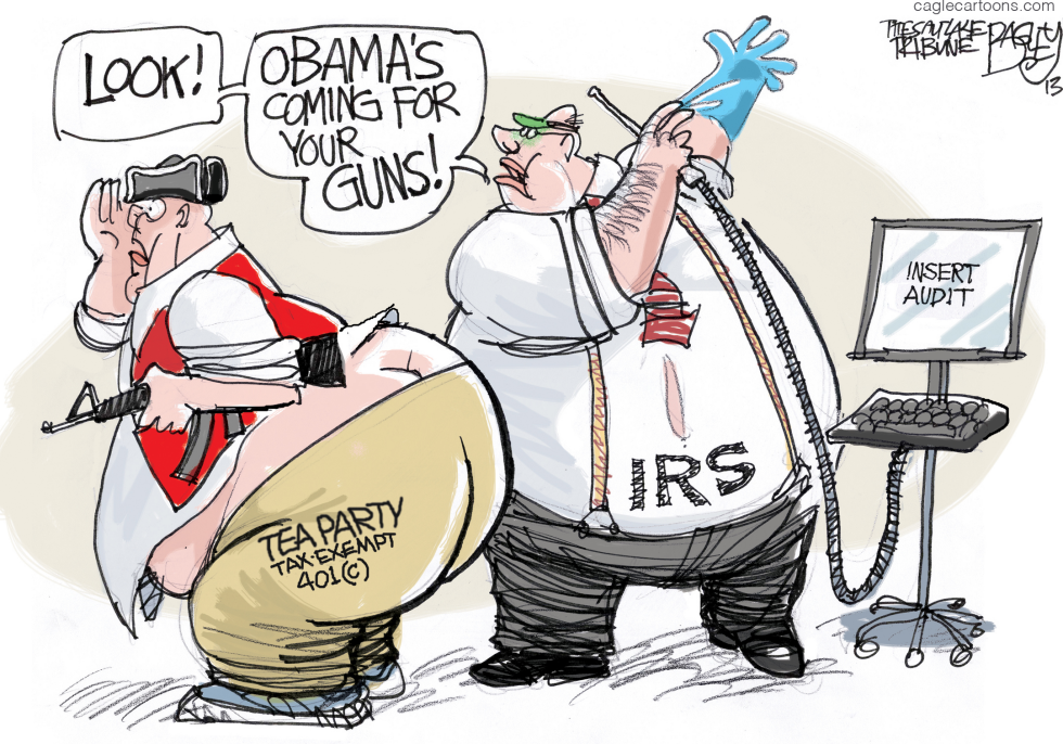 Tax Probe COLOR