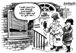 IRS AND TEA PARTY by Jimmy Margulies