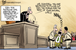 IRS AGENTS by Bruce Plante