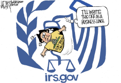 IRS TEA PARTY TARGETING by Jeff Darcy