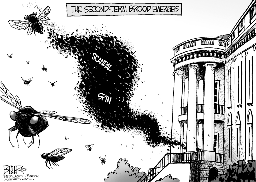 Second-Term Brood
