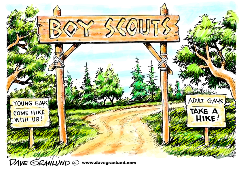 Gays in scouting