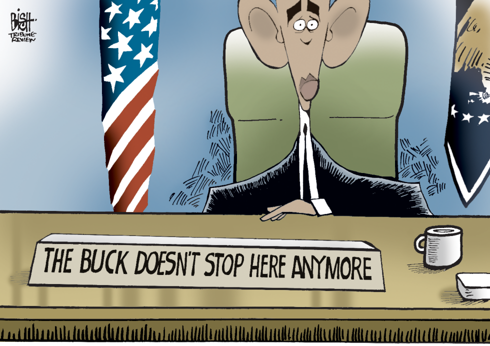 THE BUCK STOPS HERE, COLOR