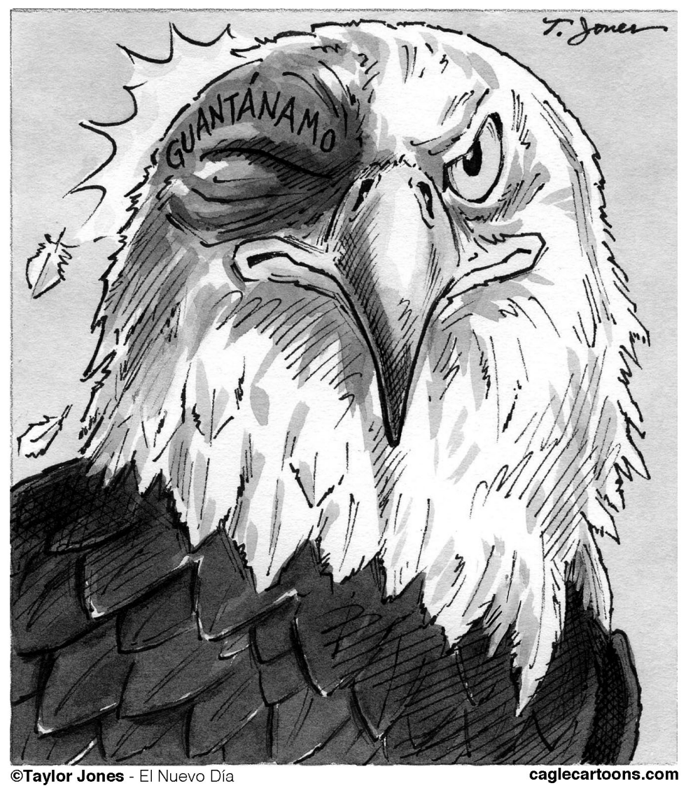  OUR NATIONAL SYMBOL by Taylor Jones