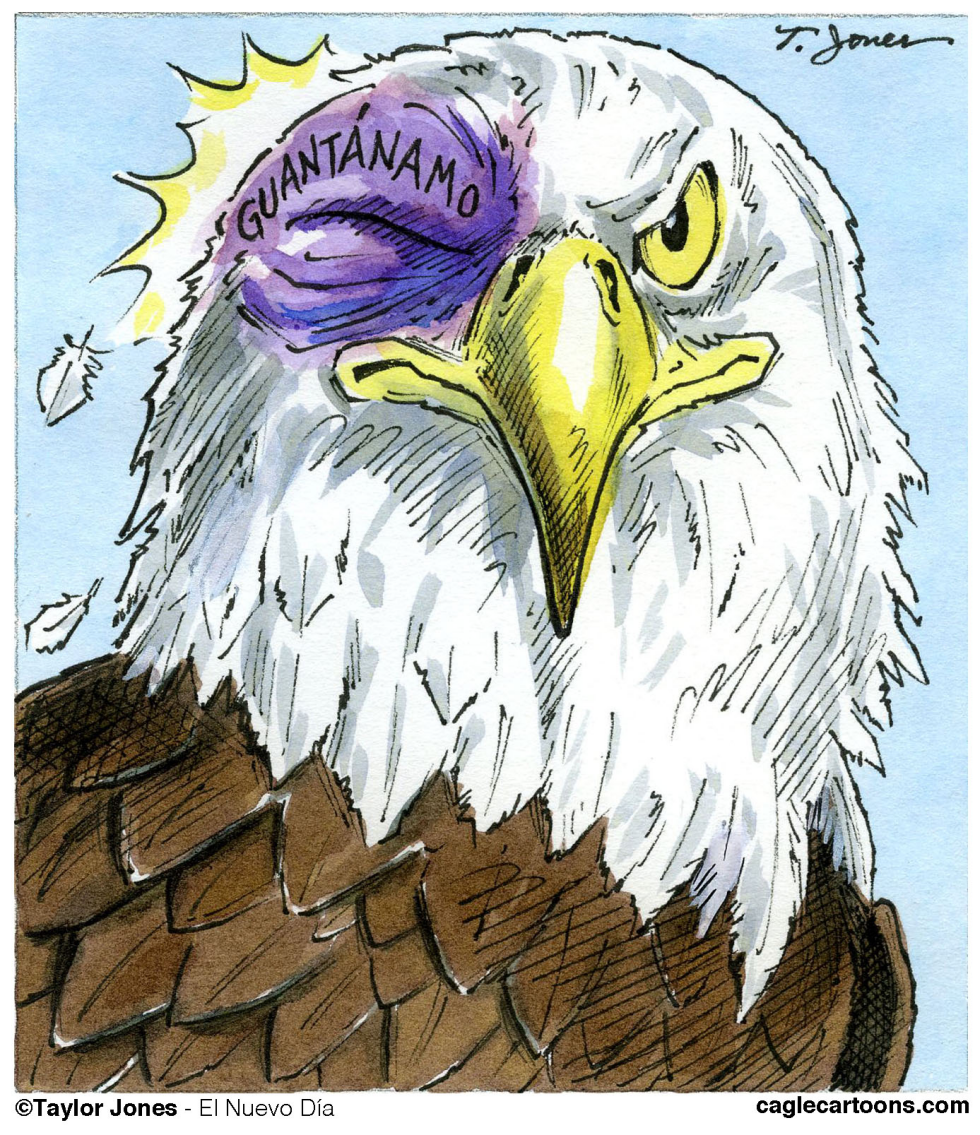  OUR NATIONAL SYMBOL  by Taylor Jones